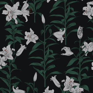 免费观看视频污污污污
